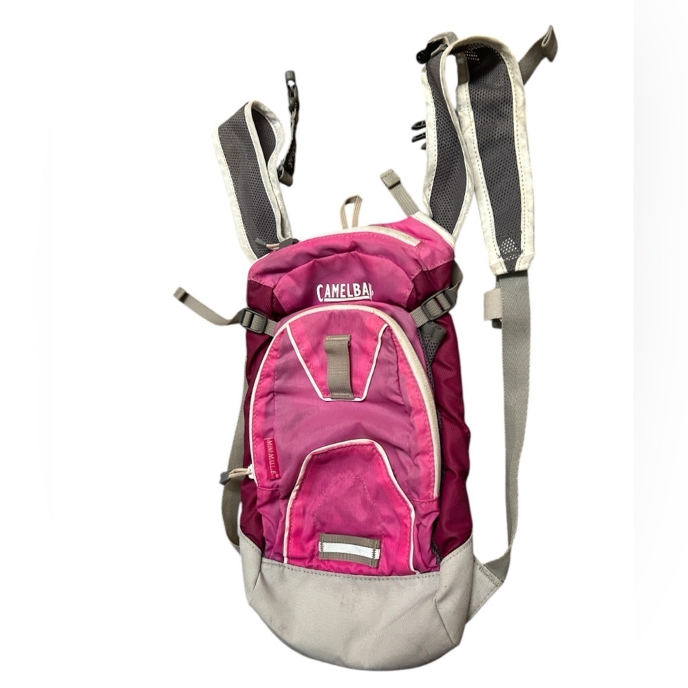 CamelBak mini mule Pink and Gray Backpack in good condition minor stains